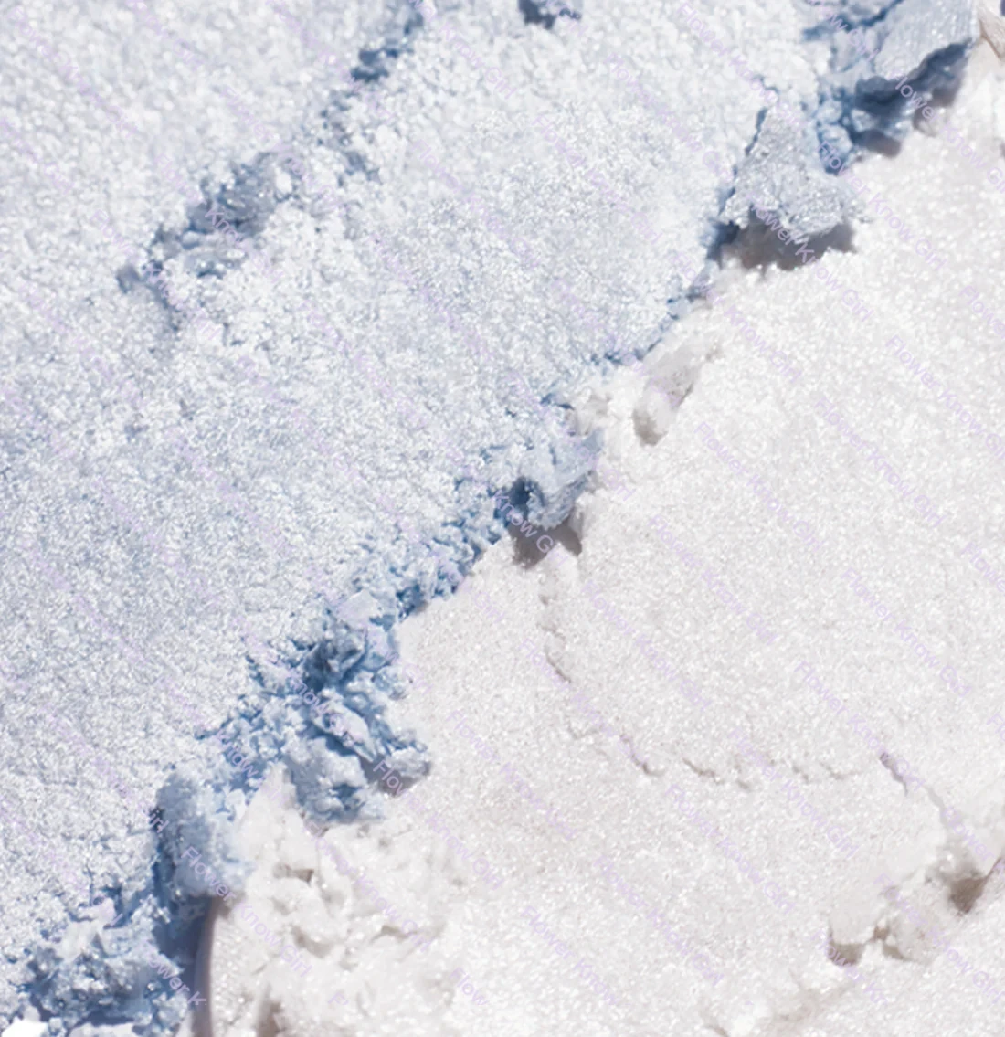 フラワー ノウズ シェル パール コレクション ハイライター パレット シマー グリッター イルミナドール メイクアップ ハイライト シェルズ ジュエル