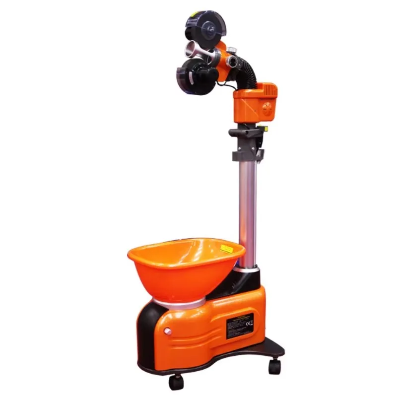 Double Fish Ping Po…