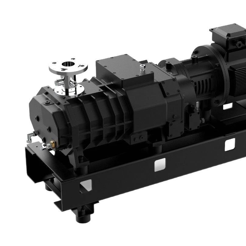Oil-free dry screw vacuum pump