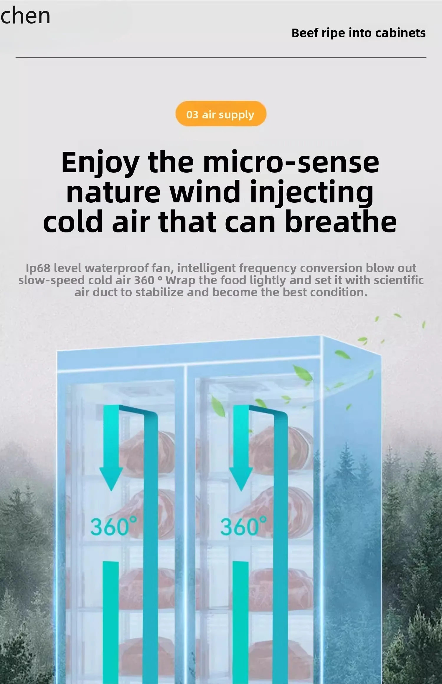 Vetrina congelata per armadio a temperatura costante frigorifero e fresco commerciale a secco e umido ZML