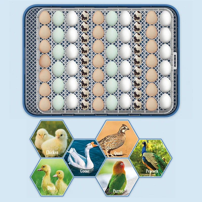 حاضنة البيض 70 قطعة حاضنة ذكية أوتوماتيكية بالكامل