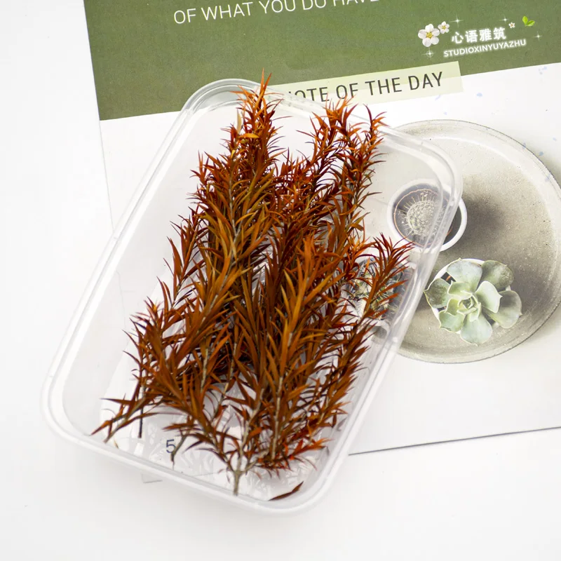 6 جرام/صندوق محاكاة أوراق طويلة ريد العشب نموذج أطقم لتقوم بها بنفسك بناء المشهد العسكري المشهد المواد ديوراما اكسسوارات