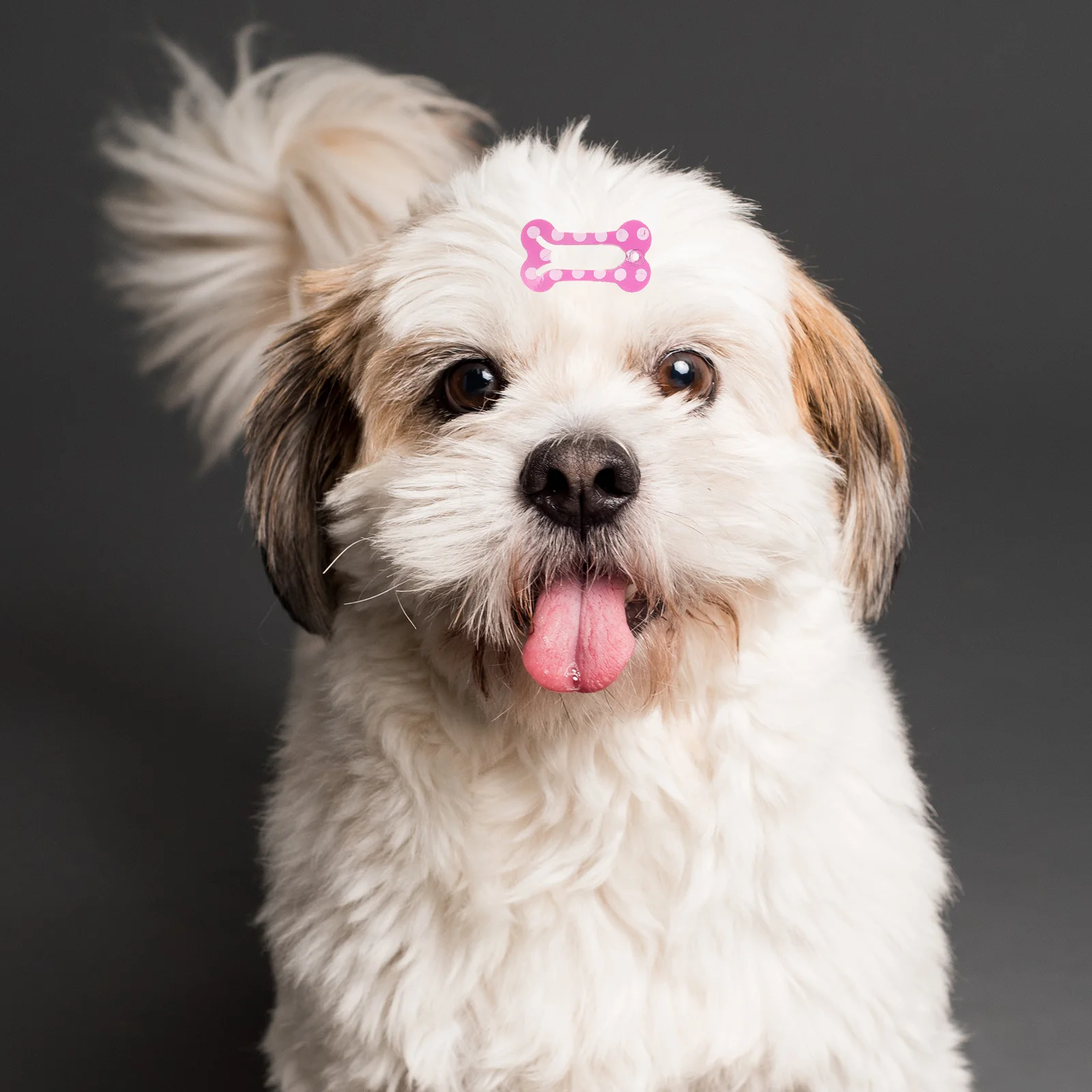 

20Pcs Pet Bone Hairpins Cute Dog Hair Clips for Puppies Cats Bone Design Hair Clips for Pet Grooming and Daily Styling