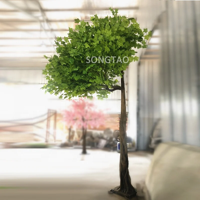 custom.songtao Cheap price sale large indoor and outdoor decoration sycamore Trees  For Mall decor