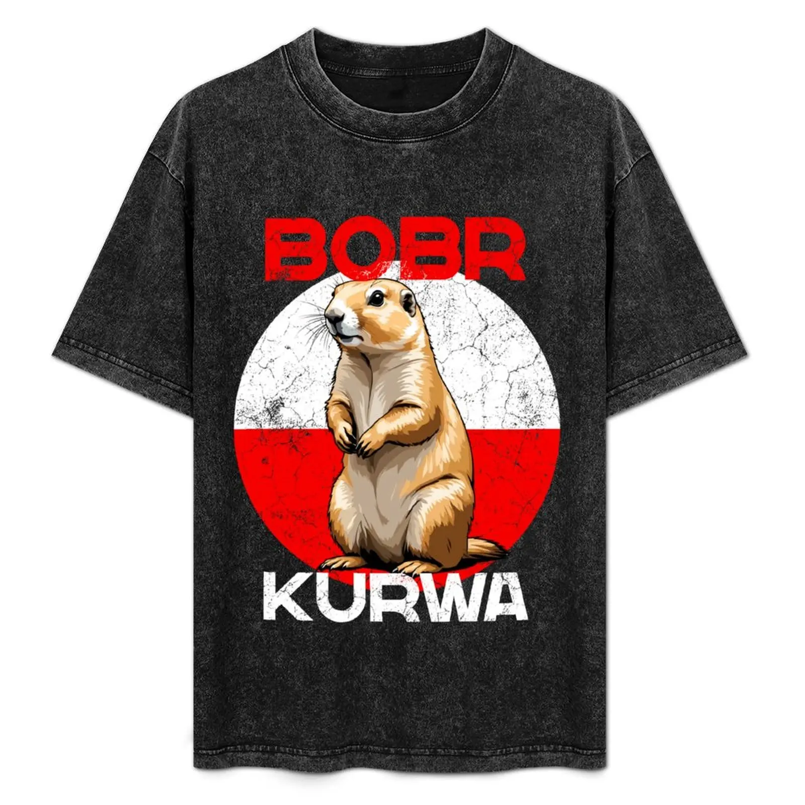 

Bobr Kurwa Polish Meme Funny Saying T-Shirt Minimalist Graphic Tee Shirt