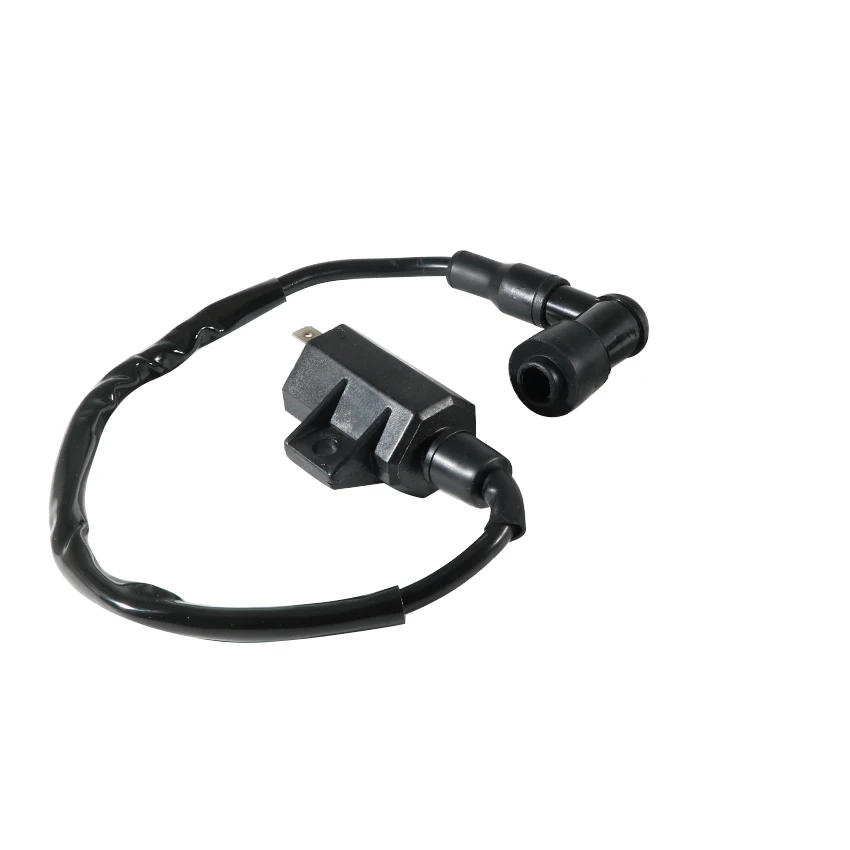 Motorrad Zubehör Starten Motor Zündspule Für Suzuki LT-F250 Ozark 250 2002-2014 LT-Z250 QuadSport 250 2004-2010 teile – Detail 9