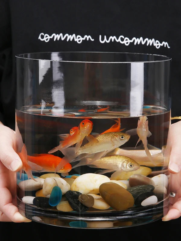 

Thiened креативная стеклянная цилиндрическая ваза для цветов большого размера для гостиной, напольный аквариум, гидропонный прозрачный домашний декор