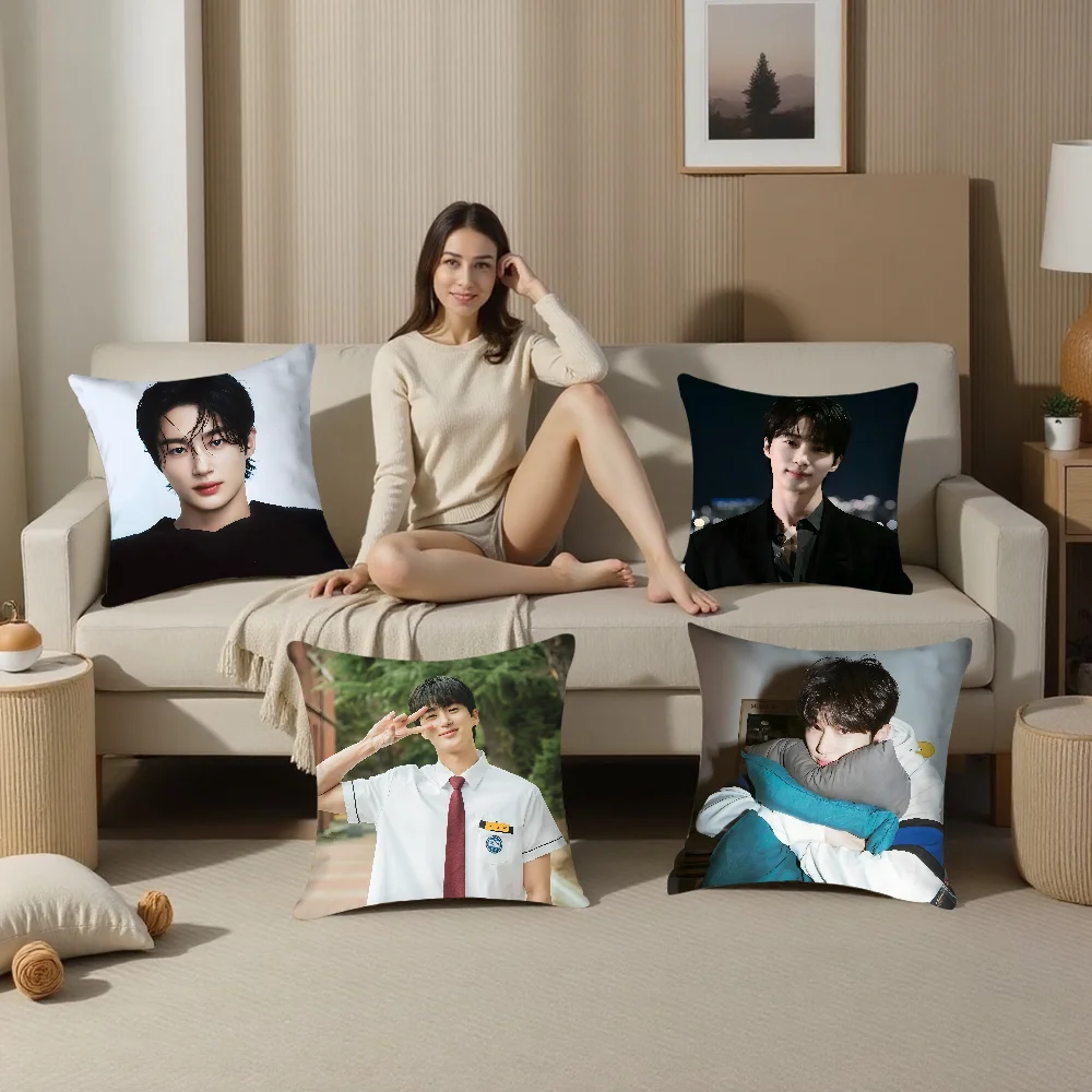 B-Byeon W-Woo-seok Korea Pillow Case Plush Fabric Soft  Pillowcase Double Sided Print   Cushion Cover Throw Pillow Cover