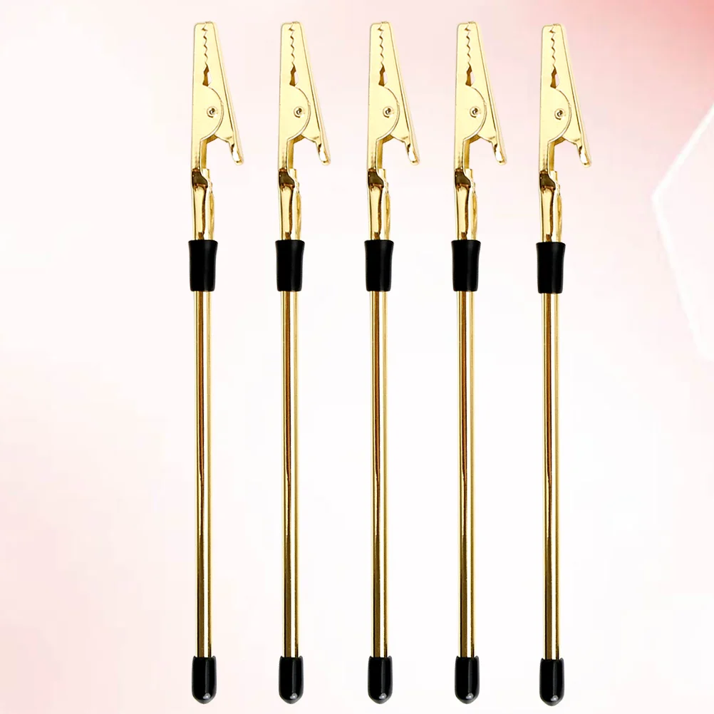 5 Pcs Practical Photo Display Hanger Metal Note Holder Large Clips Message Folder