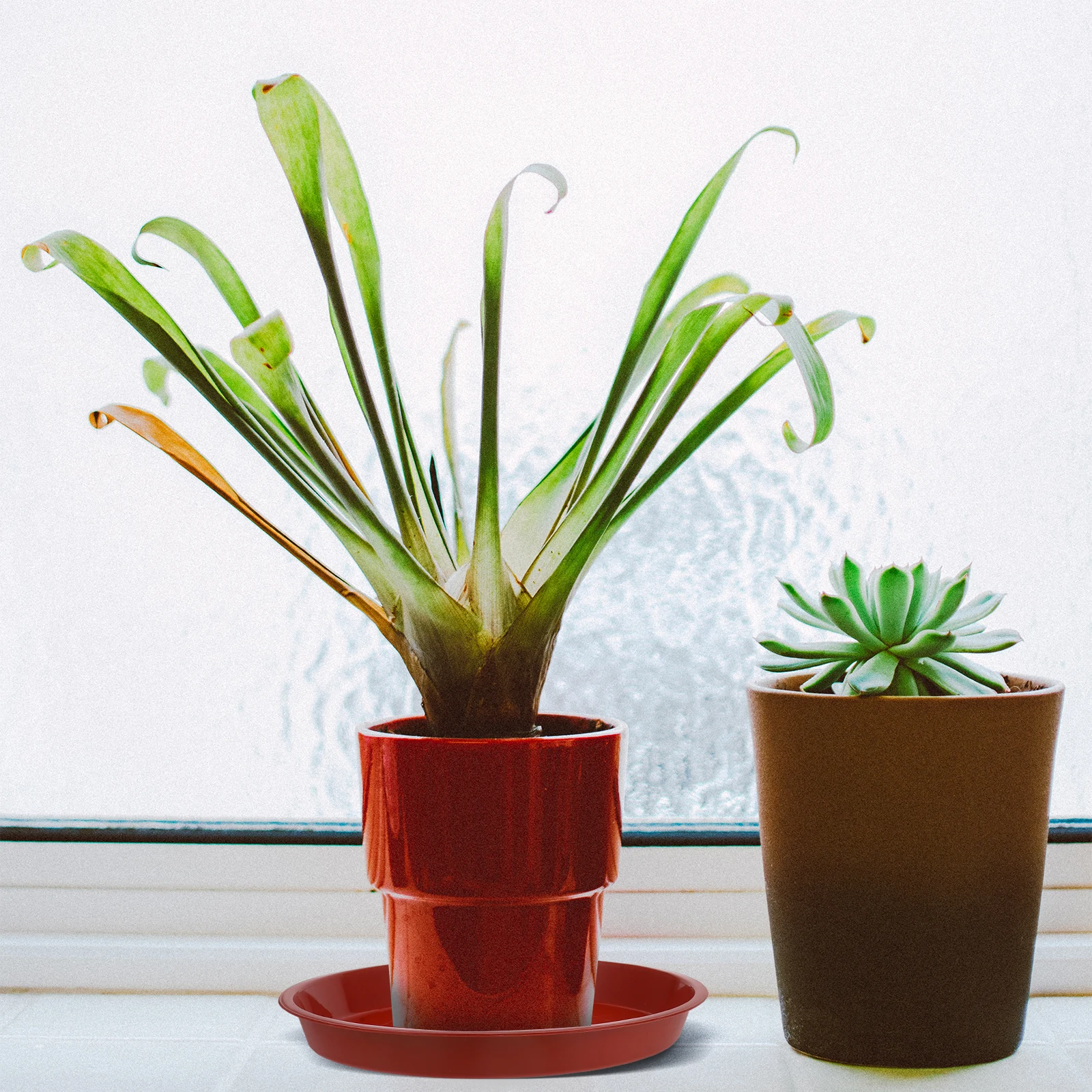 

20pcs Flowerpot Saucer Tray Plastic Reusable Planter Trays Plant Holders Durable Pp Leak Proof Drainage Garden Decor Gift For