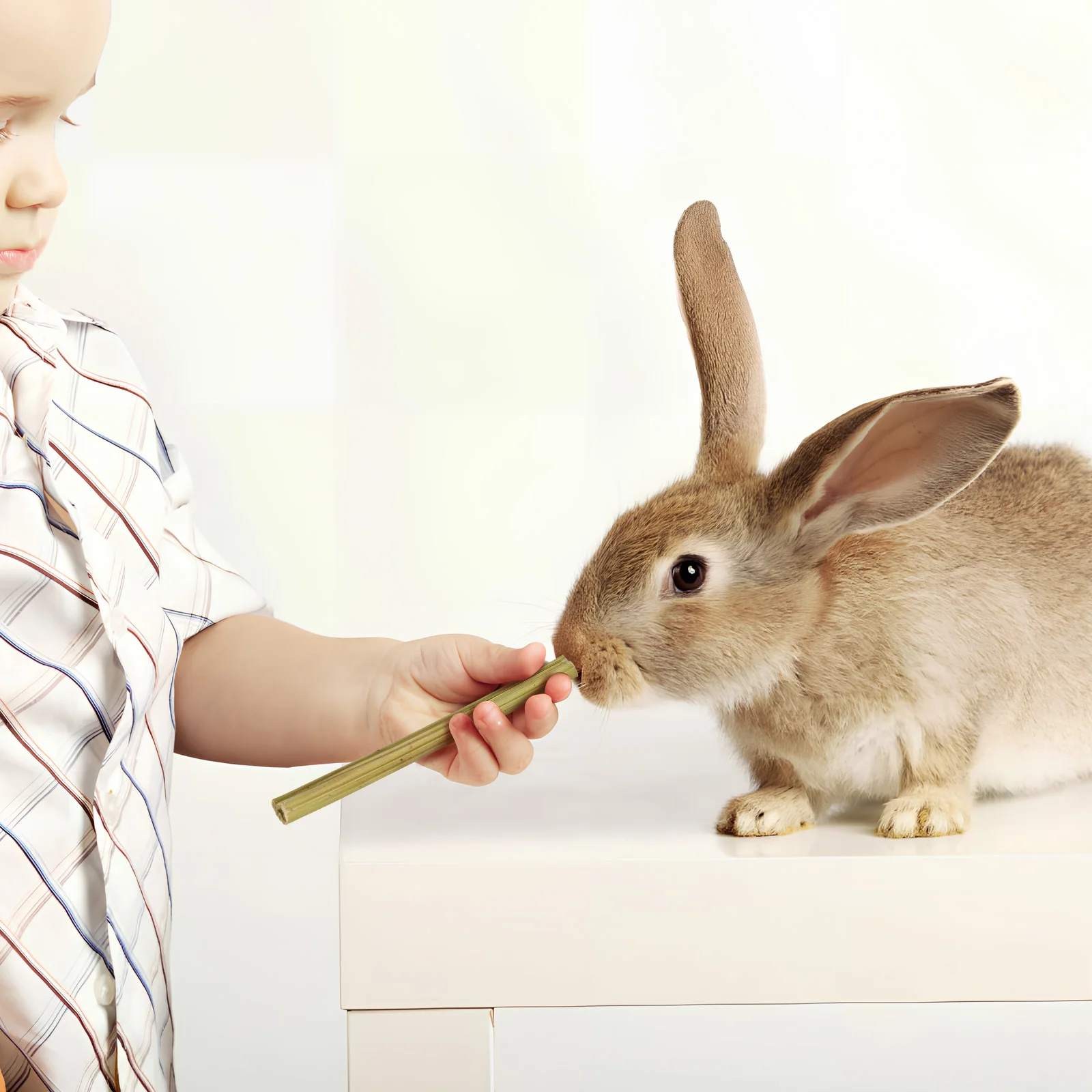 

55Pcs Rabbit Chew Sticks Small Animal Chewing Toys Wooden Treats Bunny Playthings Pet Teething Accessories