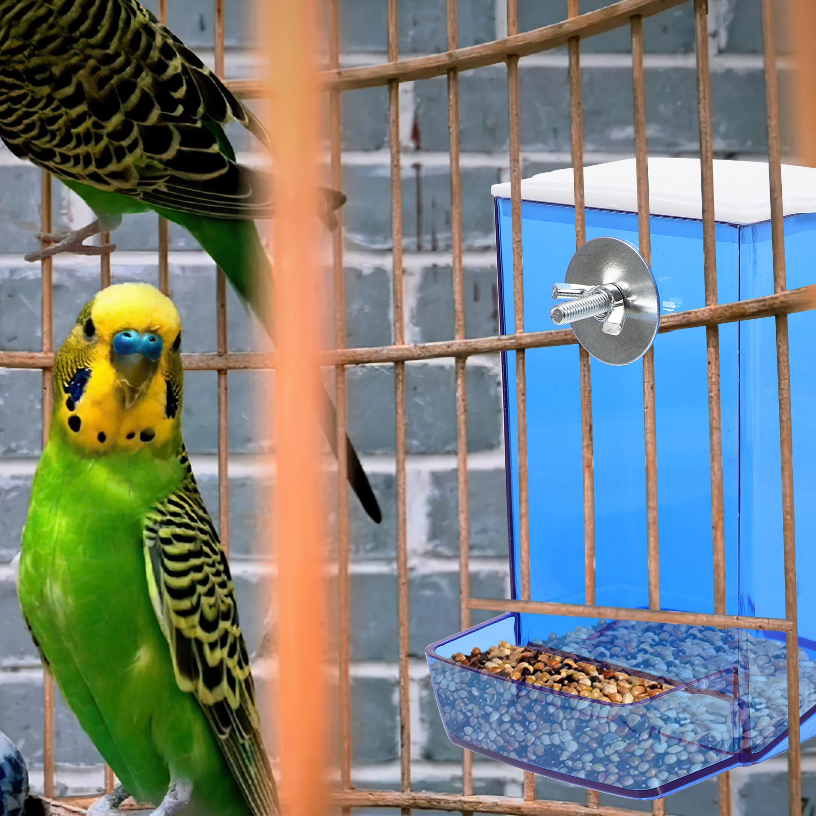 

Bird Feeder Box Durable Acrylic Material Automatic Splash Proof Design Parakeet Budgie Food Container Easy Use