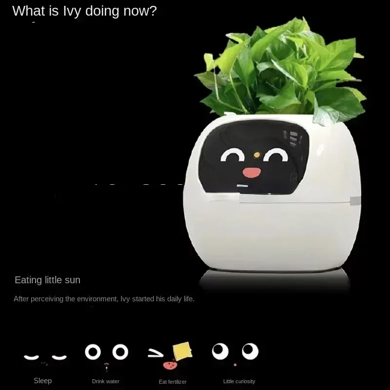 

New Smart and Cute Pet Pet Pot Ivy Table Top Green Plants Let Your Plants Express Emotions