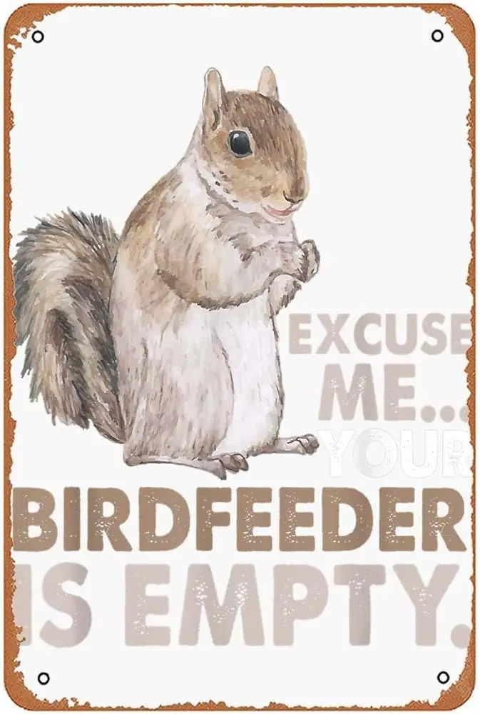 Squirrel Excuse Me Your Birdfeeder Is Empty Metal Signs Vintage Man Cave Bathroom Bar Garden Kitchen Hotel Gift 8x12inch