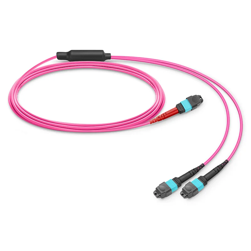 ADOP for MTP®-24 (Female) to 2 x MTP®-12 (Female) OM4 Multimode Conversion Harness Cable, 24 Fibers, Type A, Plenum (OFNP)