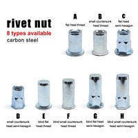 M3 M4 M5 M6 M8 M10 M12 Insert Rivet Nut Thread Flat Head Small Countersunk Semi-hexagon Hex Blind Rivnut Nutsert Carbon Steel