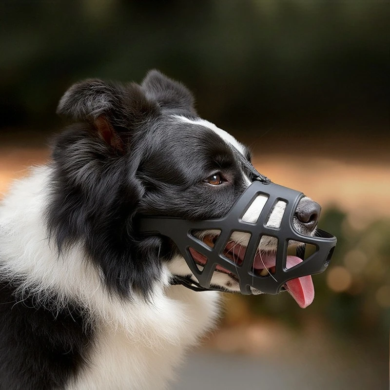 #37 Highest Rated Dog Muzzles to Buy in 2026