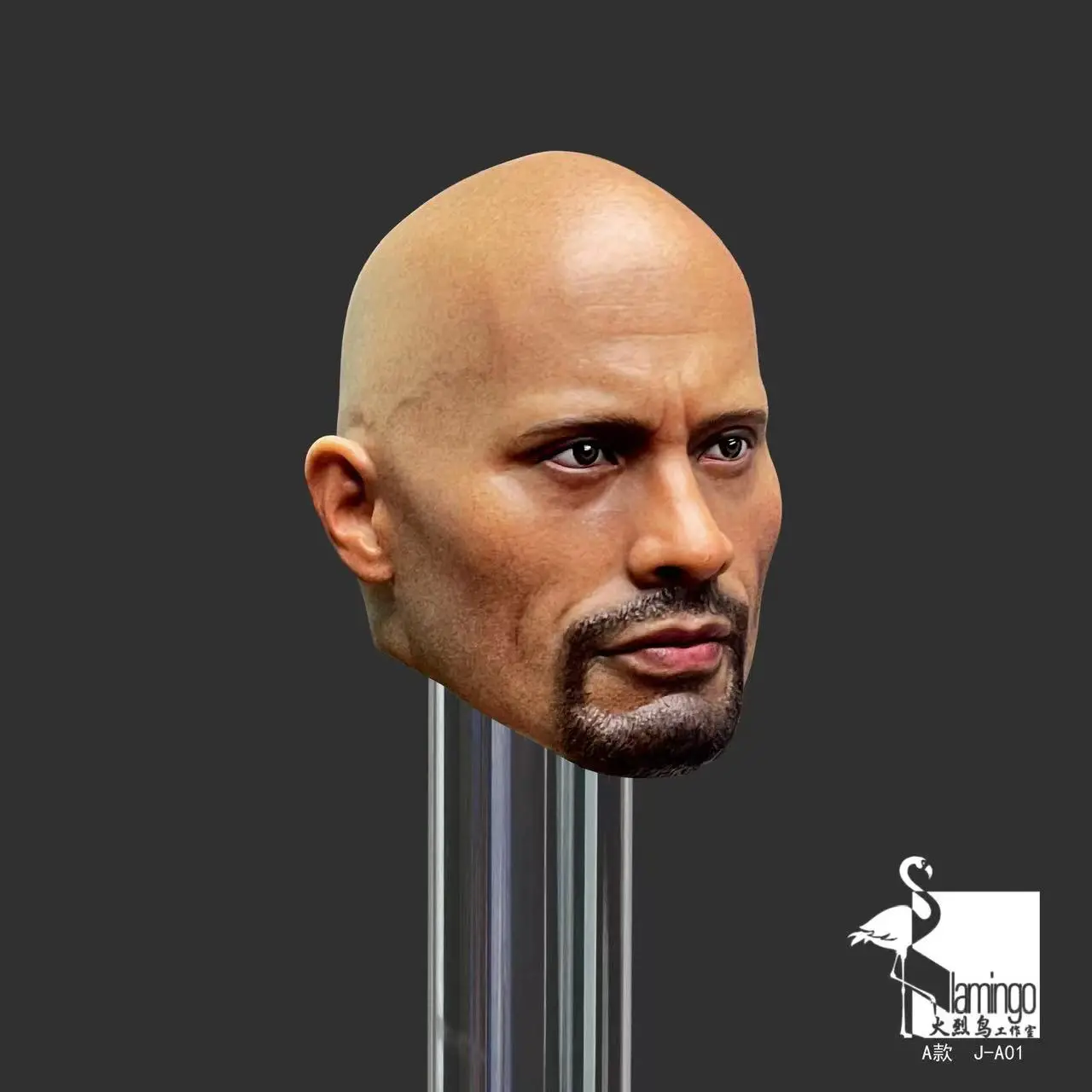 1/6 Scale Dwayne Johnson European American Male star Head Sculpt Model PVC 12 inches Action Figure Body Doll Collection