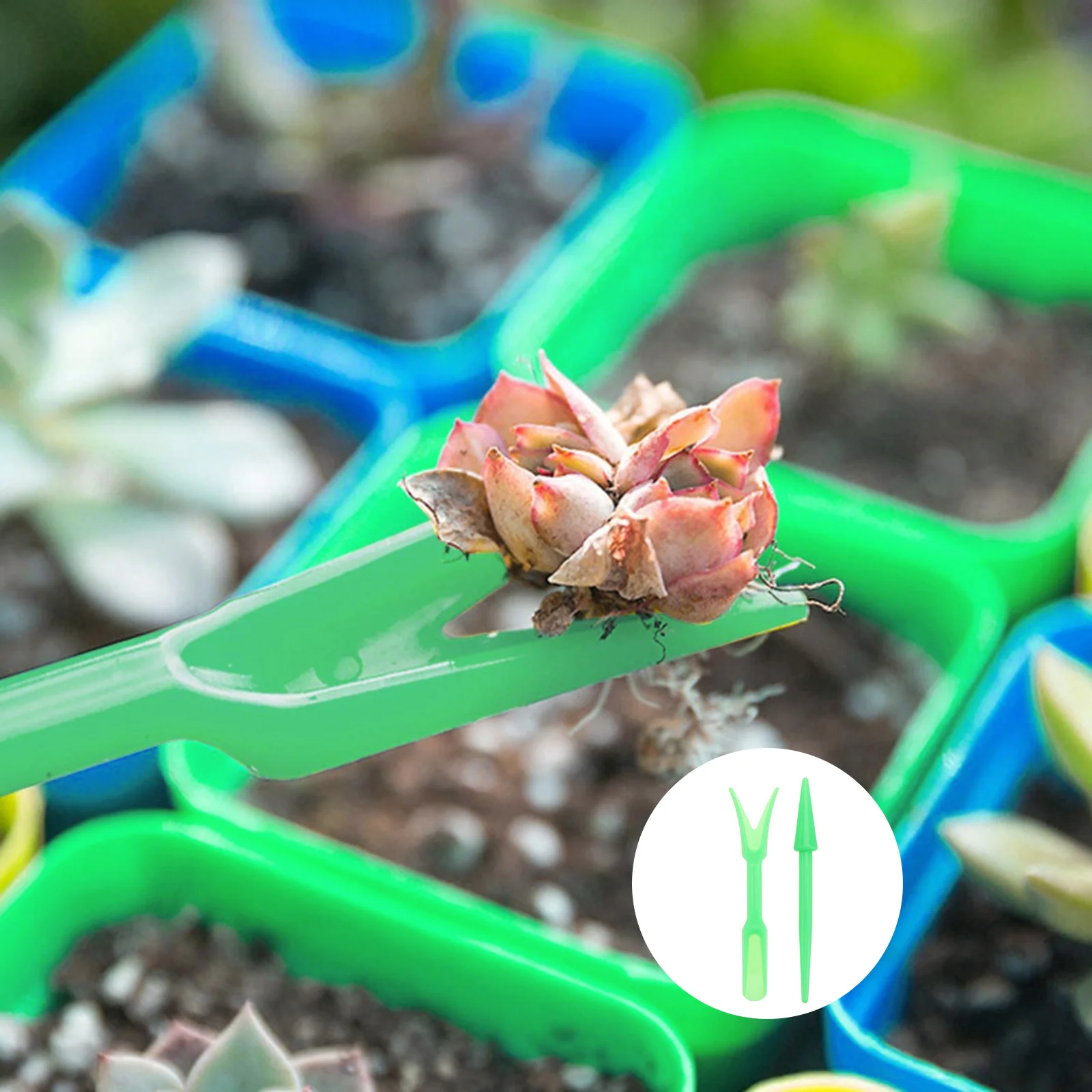 

1set Biodegradable Nursery Pots Planting Cups Garden Seedling Starter Pulp Material Breathable Moisture Resistant Warm