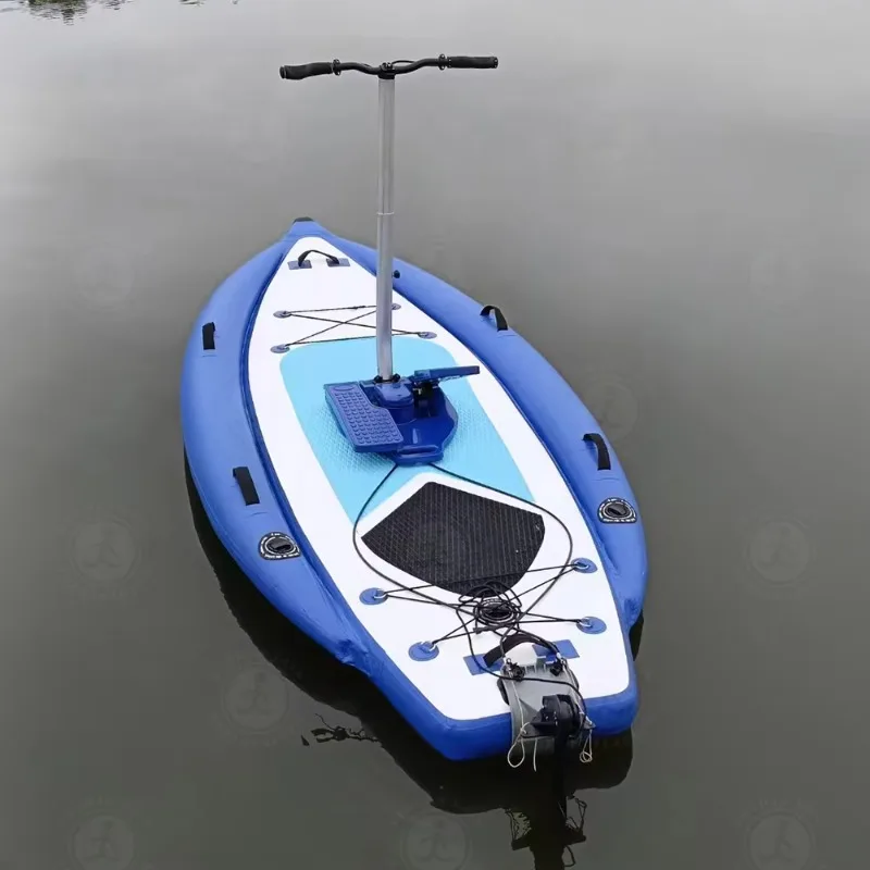 

Airo Inflatable Two-Person Water Bike for Pool and Lake Fun Double Seat Floating Bicycle for Outdoor Water Adventures