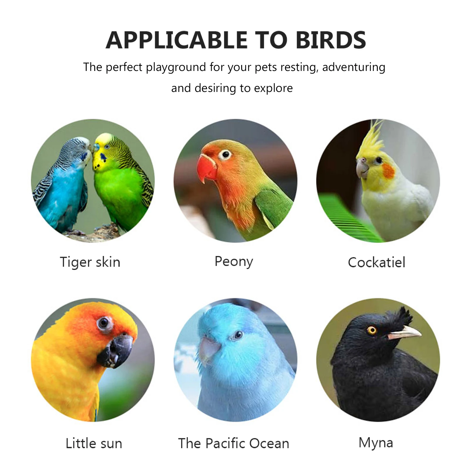

Wooden Mirror Stand Bird Platform Natural Wood Chick Parrot Cage Perch Chicken Accessories Pet Plaything Safe Durable