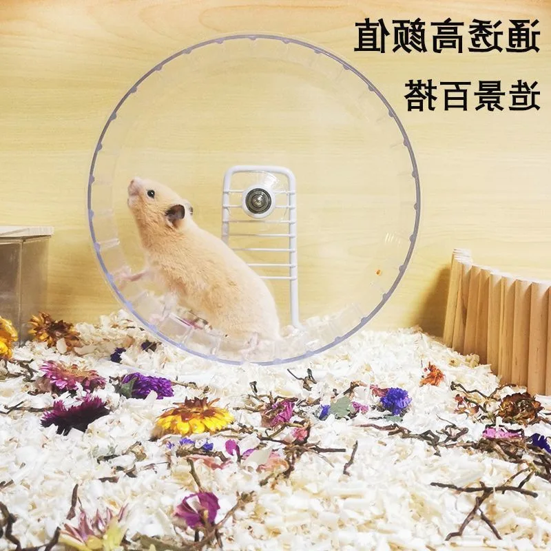 Hamster Running Wheel Golden Bear Acrylic - Bear Large Silent Treadmill With Bracket Floor Type Wholesale