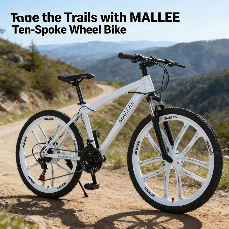 Wit Tien 24-inch Mountainbike met Tien Mes Wiel Outdoor Off-road Variabele Snelheid Een stuk Dropshipping Student Fiets