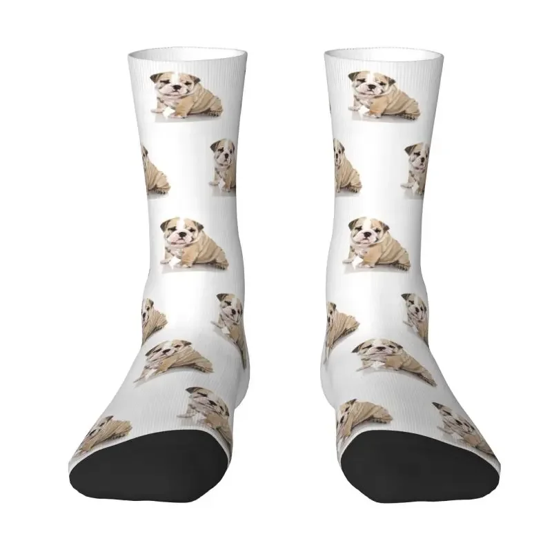 

Cute British English Bulldog Mens Crew Socks Unisex Novelty Pet Dog Lover Spring Summer Autumn Winter Dress Socks