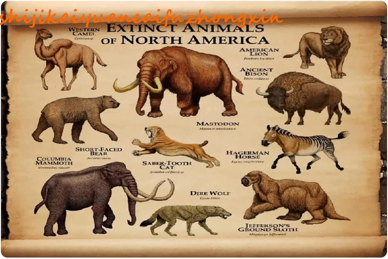 JIUFOTK Extinct Animals Of North America Metal Tin Signs Wildlife Infographics Retro Poster Kids Educational Knowledge Art Plaqu