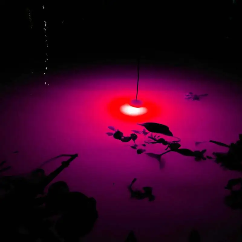 LED Mini Deep Sea Underwater Tackle Fishing Squid Fish Lure Drop Light Flashing Lamp Waterproof Fishing Night Lights River Lake