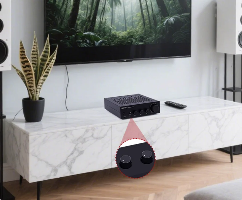 B30 모노 채널 고출력 480W TPA3255 디지털 앰프