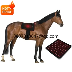 Bestselling   Horse Red Light Therapy  Equine Pet Animal 660nm 850nm Pain Relief Infrared Pad for Horse