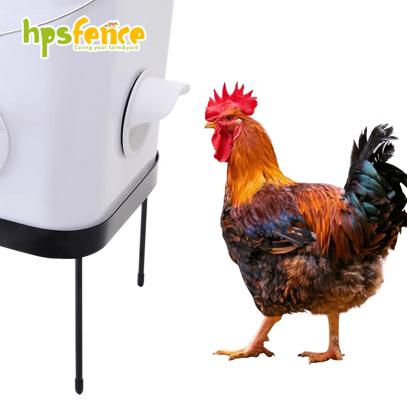 Poultry farm plastic automatic poultry chicken feeder with bucket