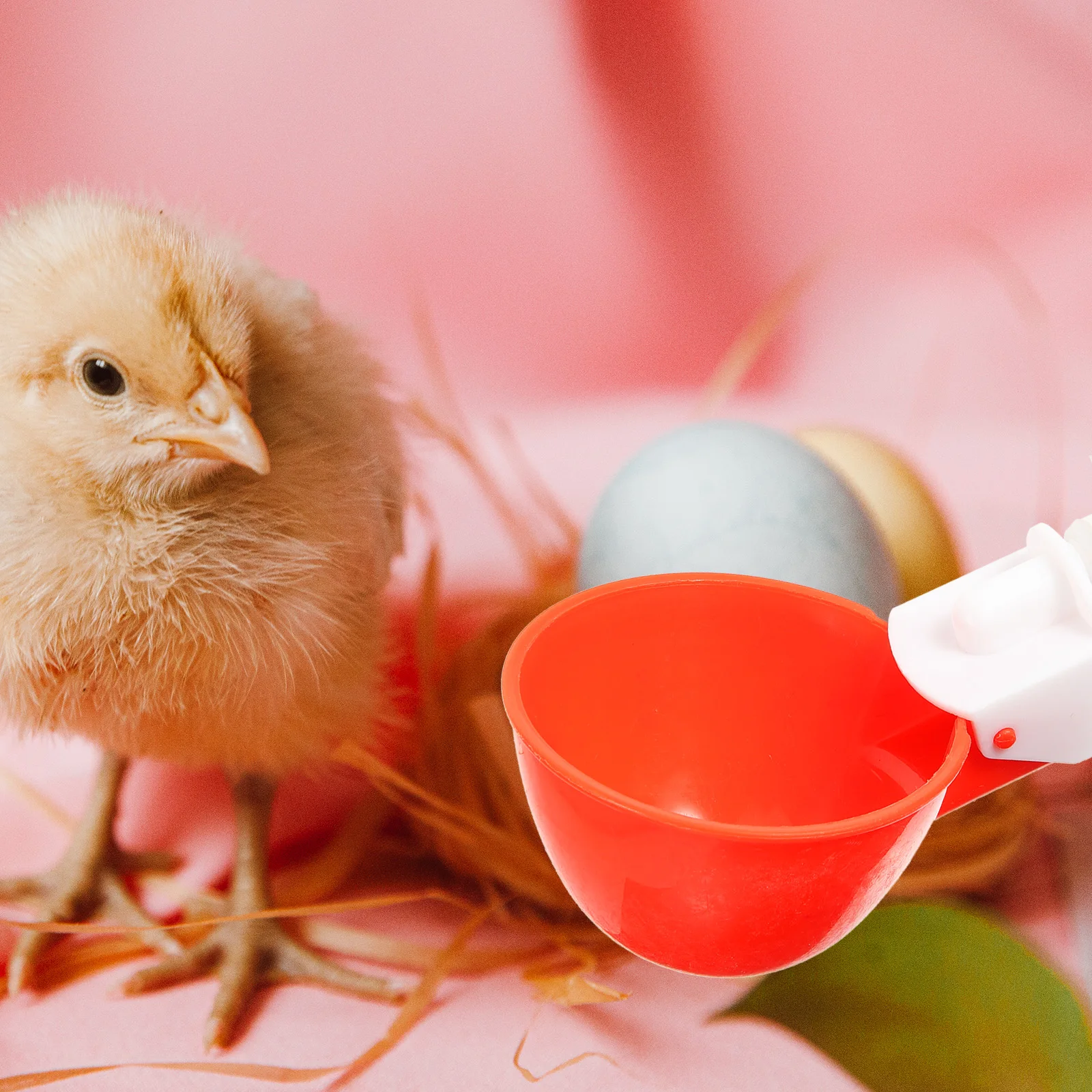 

5Sets Durable Chicken Waterer Plastic Feeder for Goose Turkey Quail Rabbit Multi-Function Chicken Waterer Pasture Water Feeder