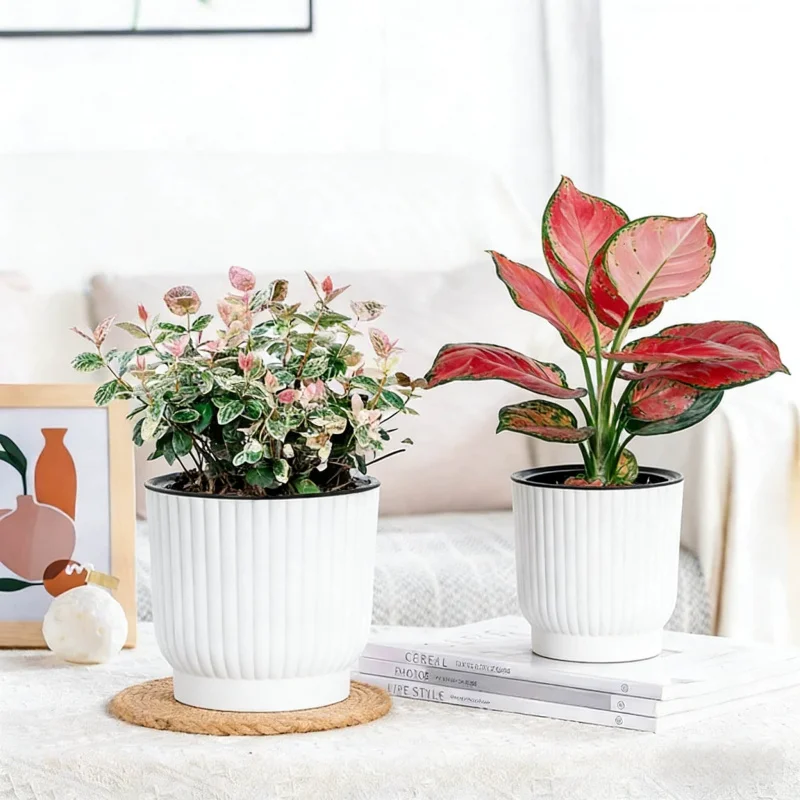 Pot de fleurs créatif en résine plastique absorbant l'eau automatiquement pour les personnes paresseuses, pot de plantes vertes hydroponiques