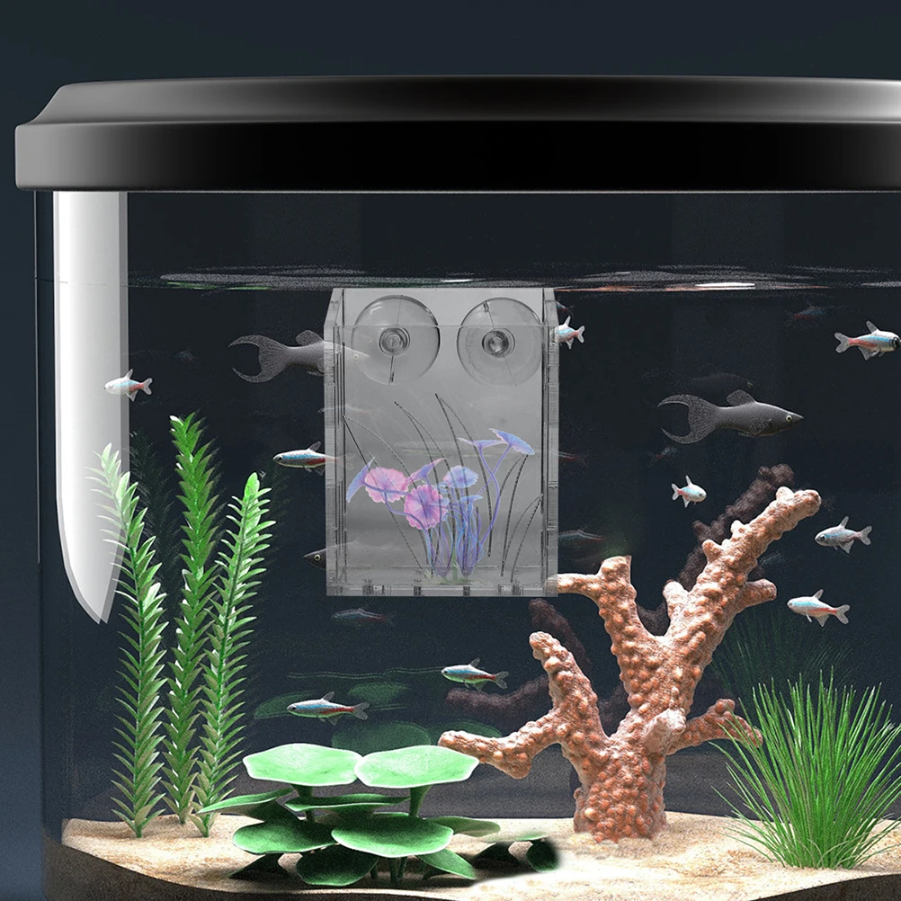 

3pcs Aquarium Plant Holder Fish Tank Hanging Planter Cups Suction Design Aquatic Plant Pots Hydroponic Water Plants Holder Clear