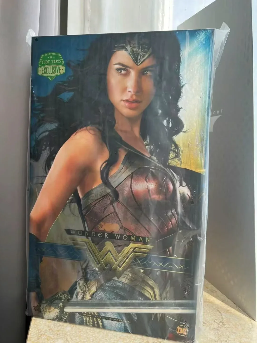 Free Shipping Spot Hottoys Ht 1/6 Mms698 Wonder Woman Warner 100 Limited Edition 300 Birthday Gift