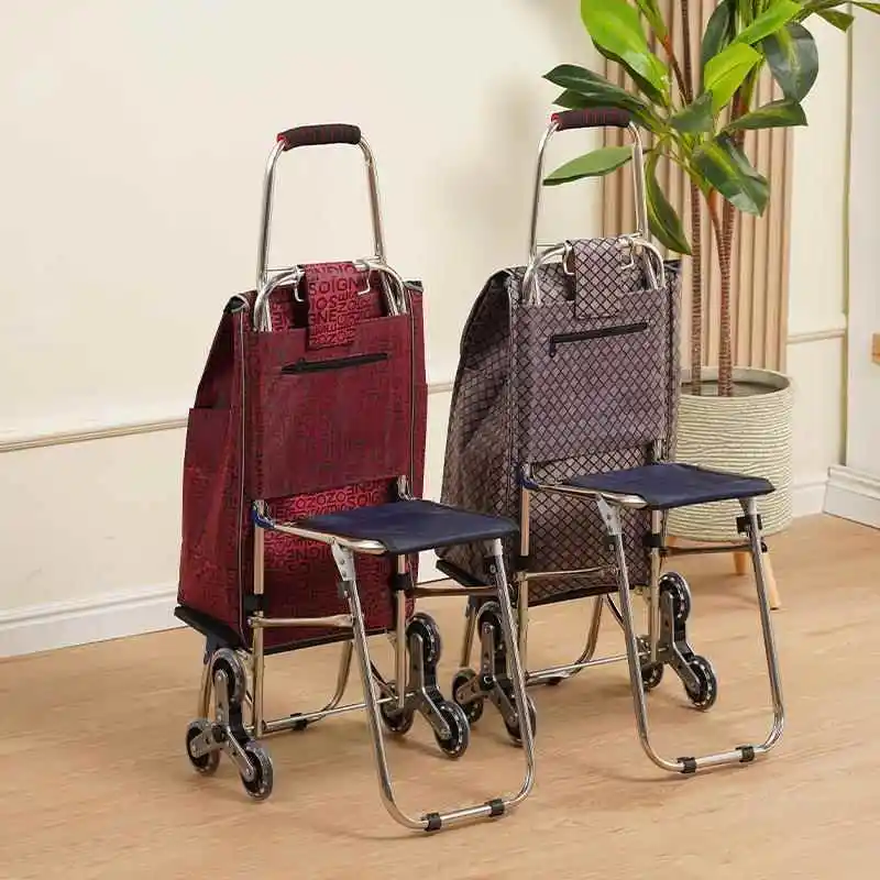 carrello-spesa-portatile-carrello-piccolo-per-salire-le-scale-leggero-pieghevole-in-acciaio-inossidabile-per-il-mercato