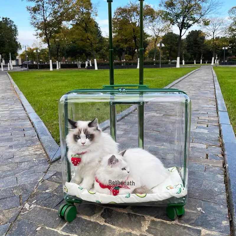 

Pet Trolley Case Outing Bubble, Transparent Conveyors and Strollers, Carrier Cabin, Suitcase Bag for Cat, Pet Products Accessori