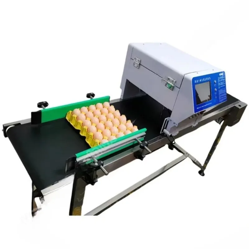 Customized Stainless Steel Conveyor Egg Inkjet Printer Single Head Egg Date Coding Printing Machine