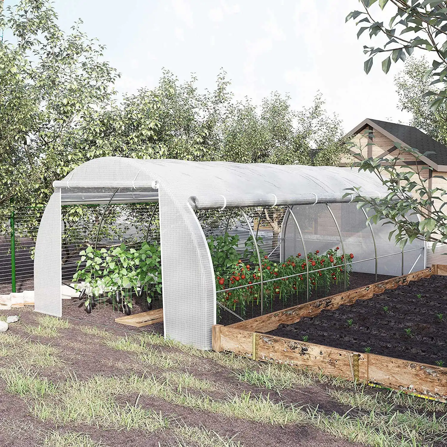 

2025Agricultural Polytunnel Garden Tunnel Greenhouse for Backyard Tomato Vegetable Seeds Growing