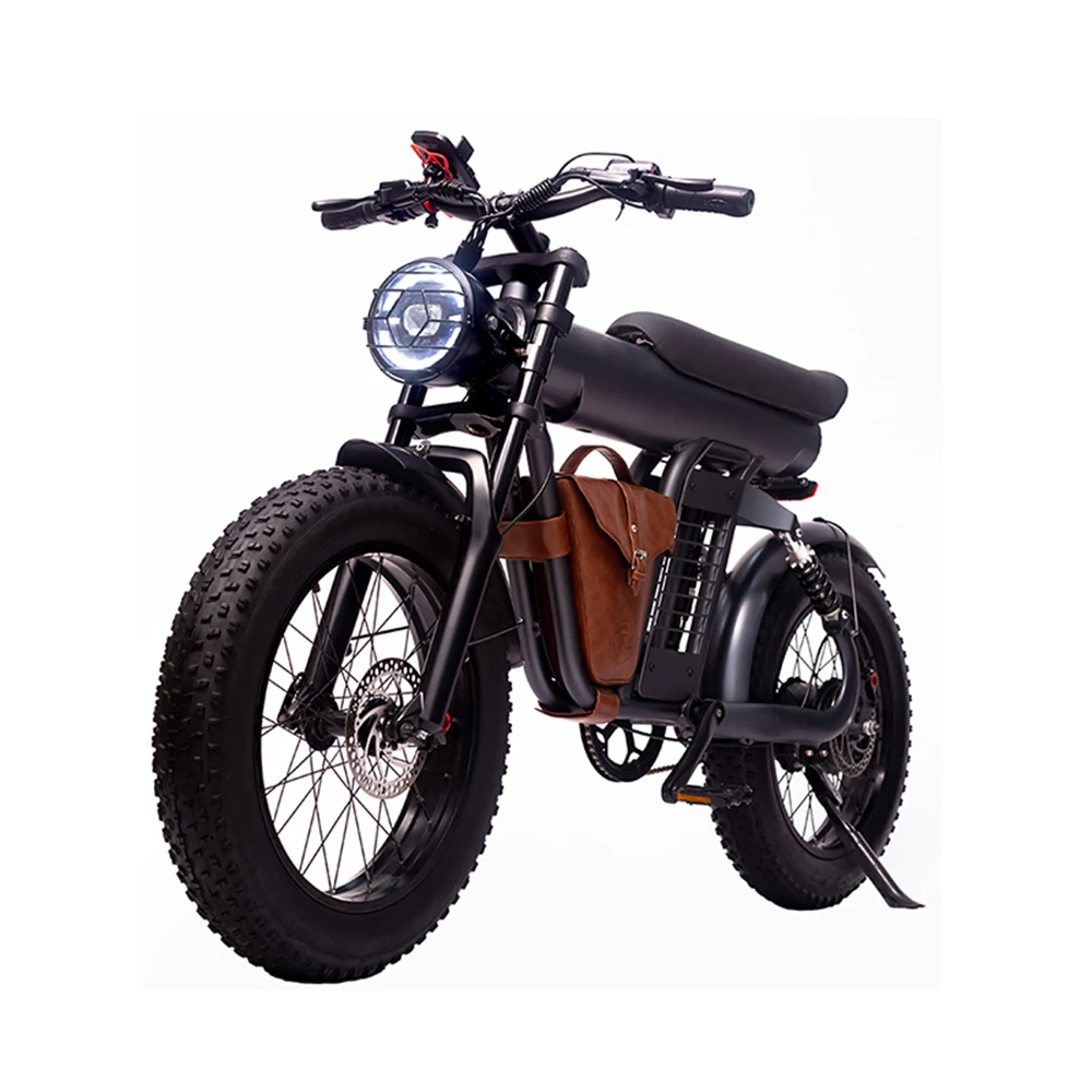 

OEM Adult Kid Children Fat Tire Dual Motor E Electric Bike Hybrid Mountain City Road Folding Foldable Dirt Cargo Vintage EBike