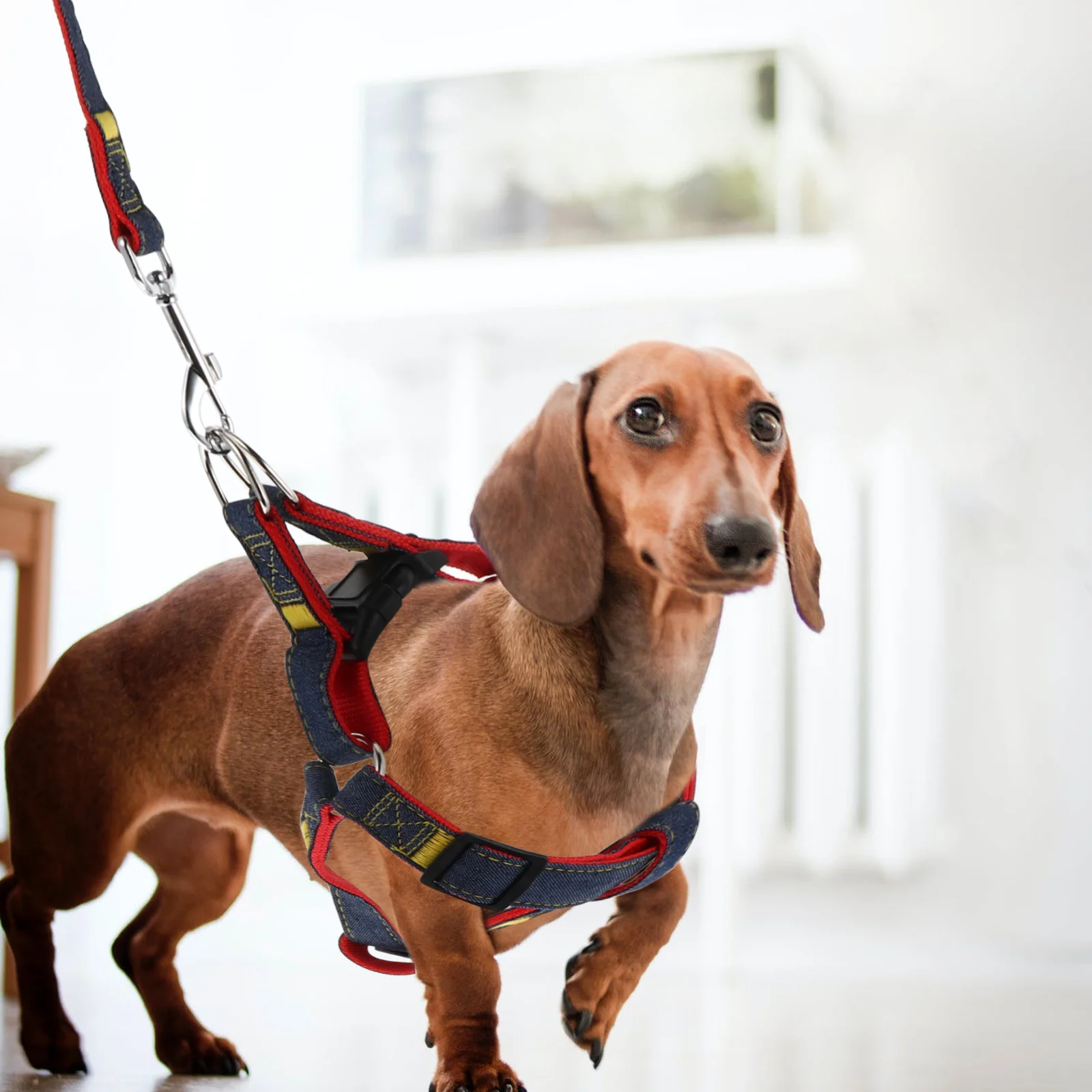 

1Set Pet Harness Leash Adjustable Dog Vest Escape Proof Harness for Walking Running Small Dog Rope Set