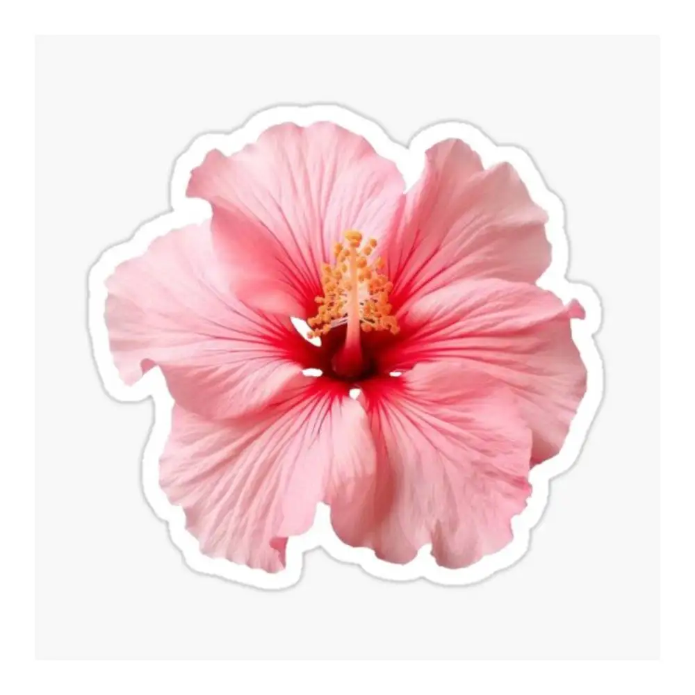 Pink Hibiscus Flower Sticker Helmet Flask Cup Laptop Car Vehicle Window Bumper Decal