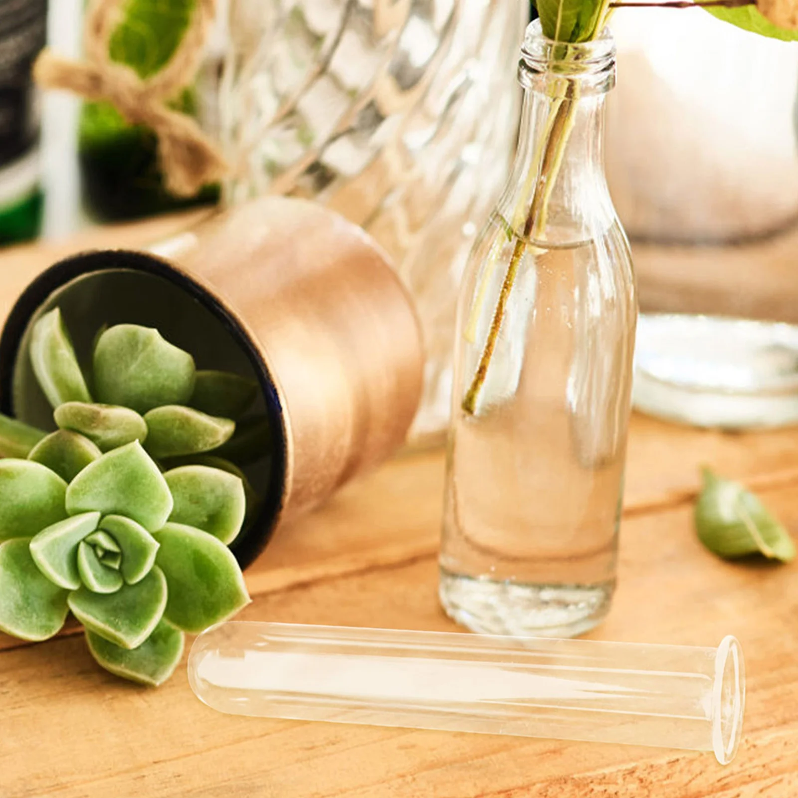 

5Pcs Glass Hydroponic Test Tube Vase Clear Transparent Plant Terrarium Flower Arrangement Desk Propagation Station