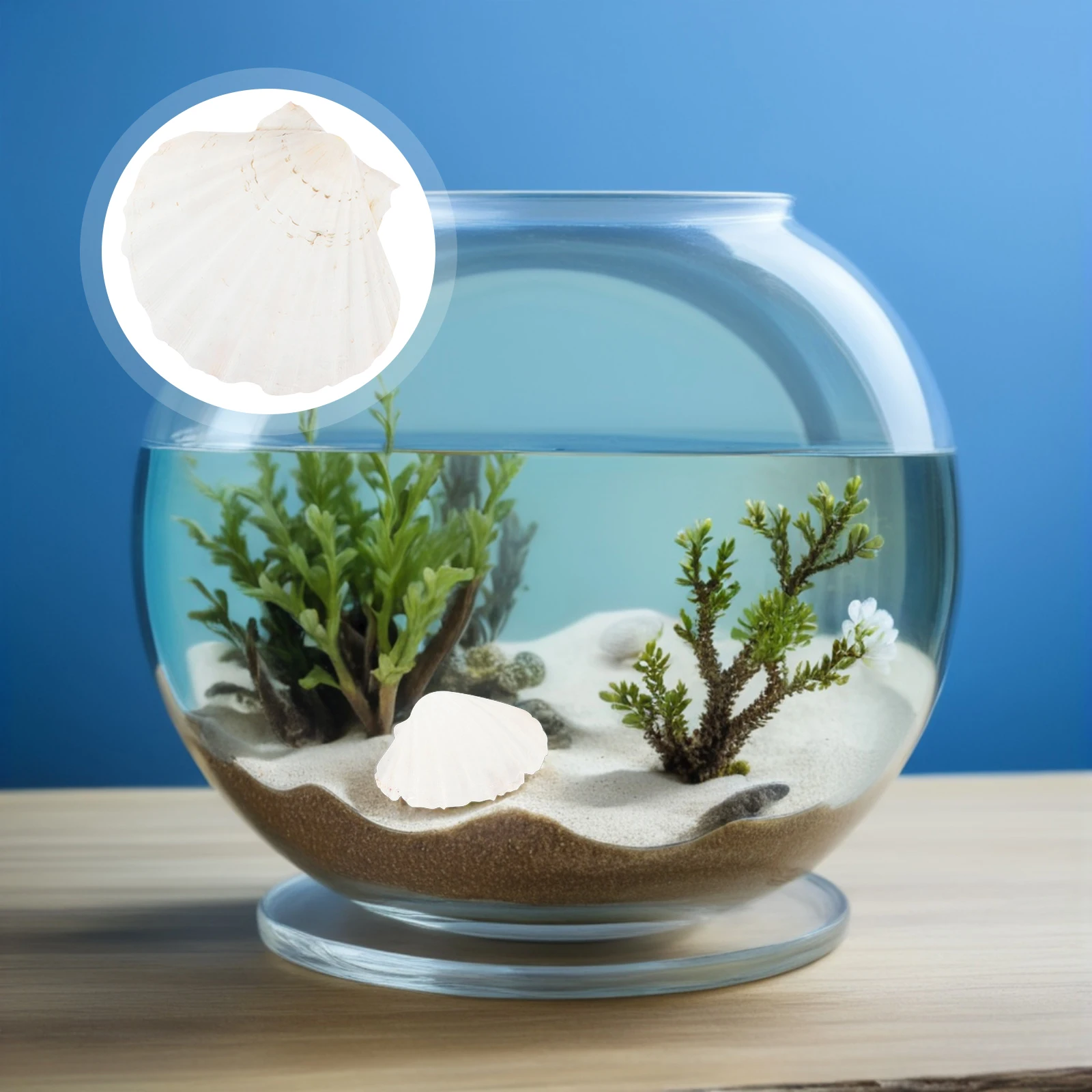 

10Pcs Large Shell Plate Natural Seashell Food Tray for Cooking Serving Decoration DIY Craft Party Theme Aquarium Decor