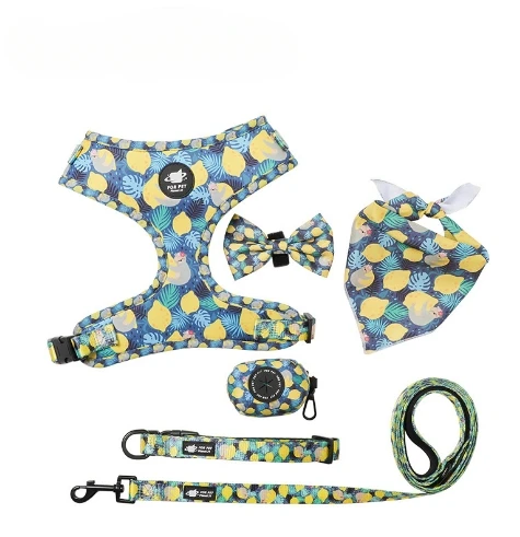 Laisse et collier de Noël SFP pour chien, faible MOQ, ensemble SFP, couverture imprimée assortie, fournitures pour animaux de compagnie, accessoires pour chiens