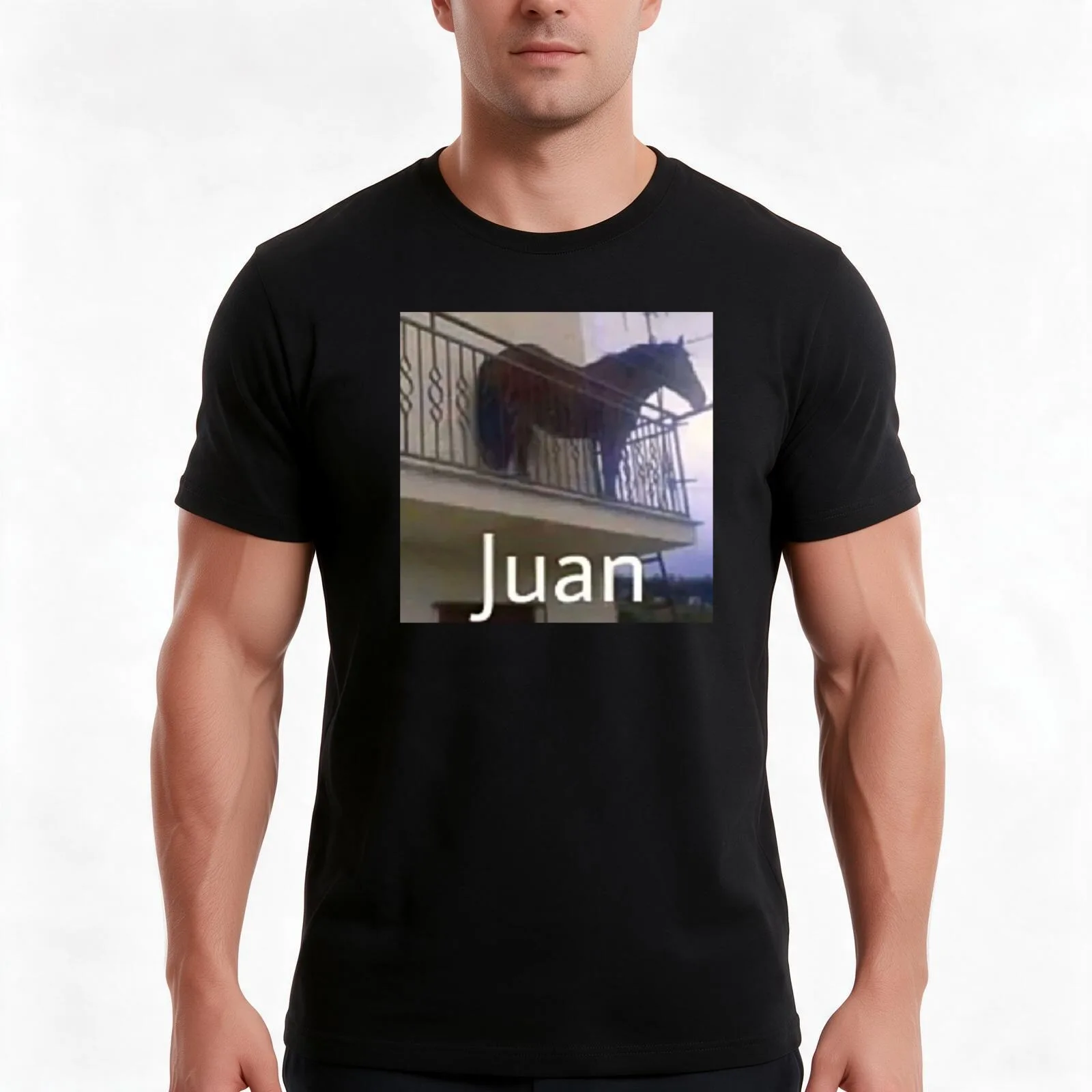 Juan horse on balcony T-Shirt, Summer Casual Cotton Tee, Oversized Streetwear Tops, Vintage Graphic Print, Unisex Men Women