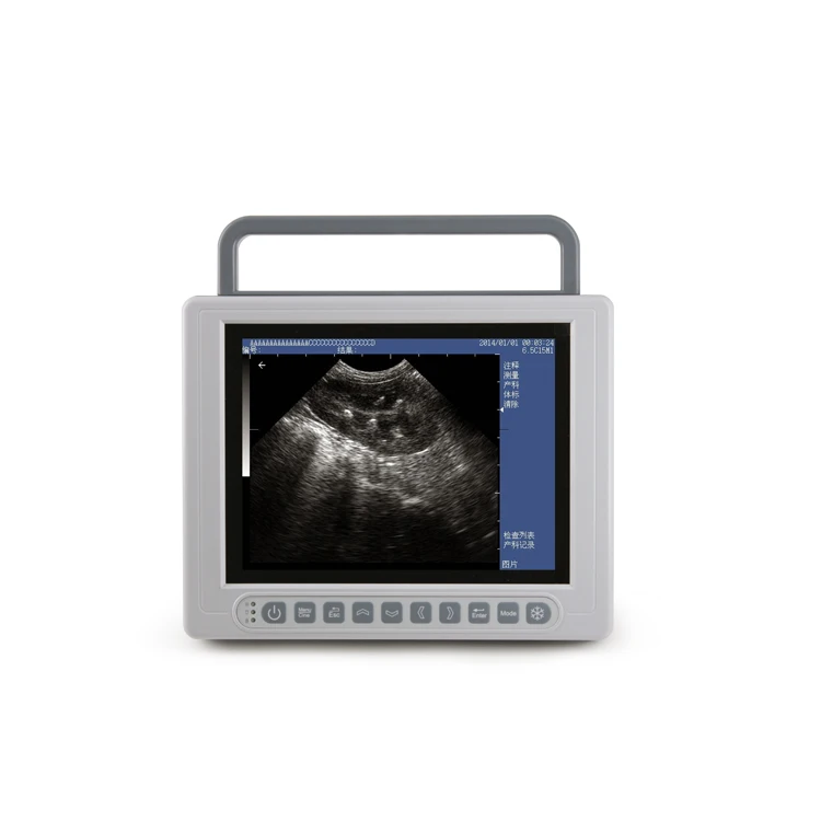 Veterinary Ultrasound Scanner Diagnostic B/W Handheld  Animal Dog Cat Sheep Pregnancy Scanning Machine