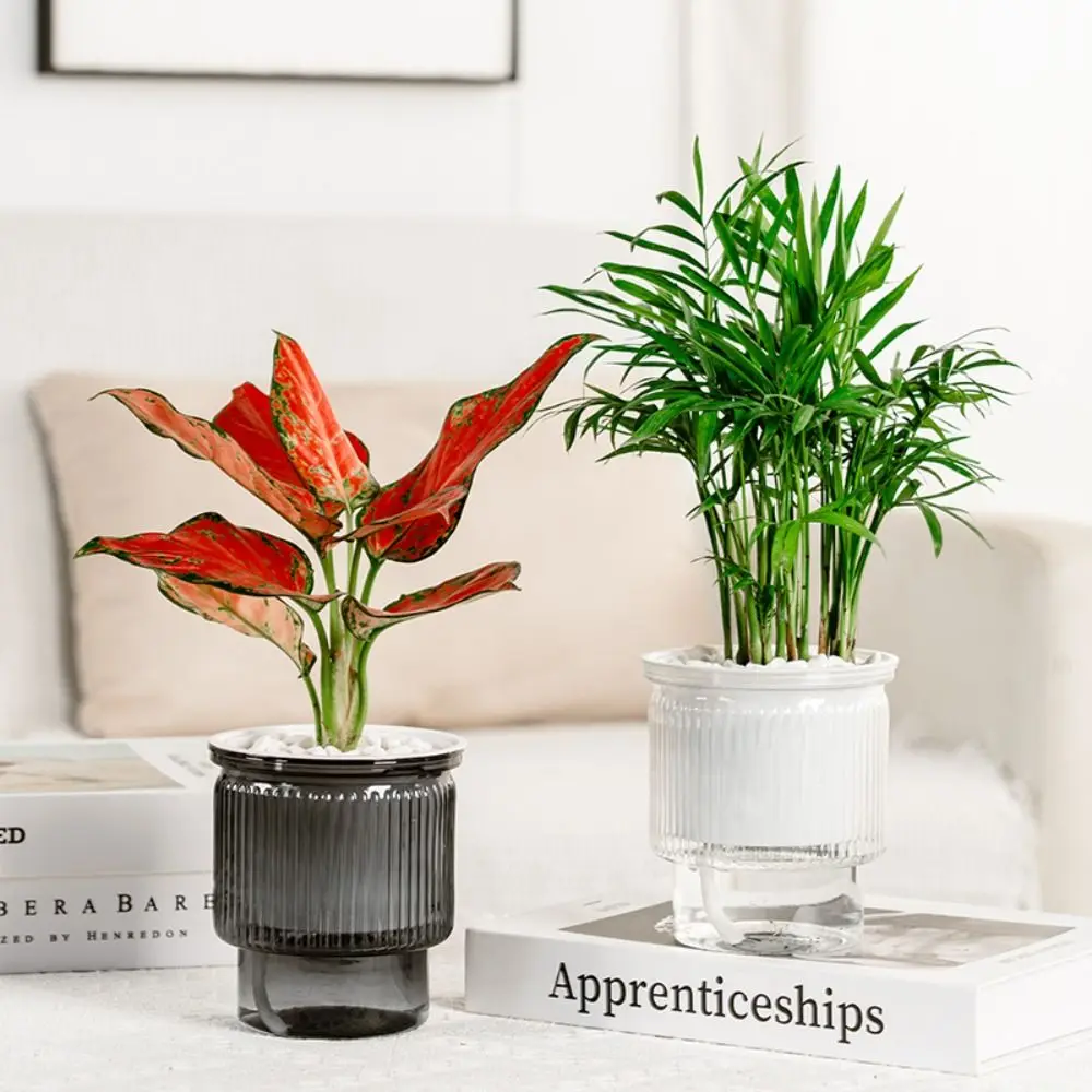 Creative Self Watering Hydroponic Plants Pot Plastic Removable Flowerpot Tabletop Vase